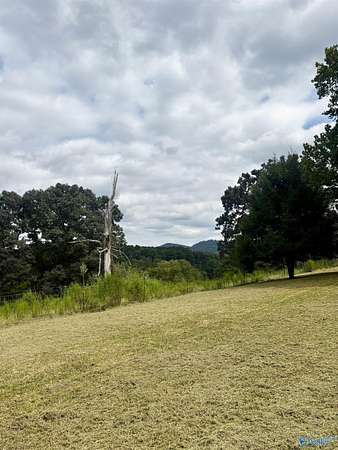 9 Acres of Land with Home for Sale in Attalla, Alabama