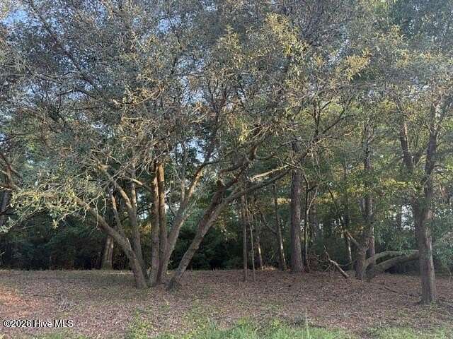 0.72 Acres of Residential Land for Sale in Wilmington, North Carolina