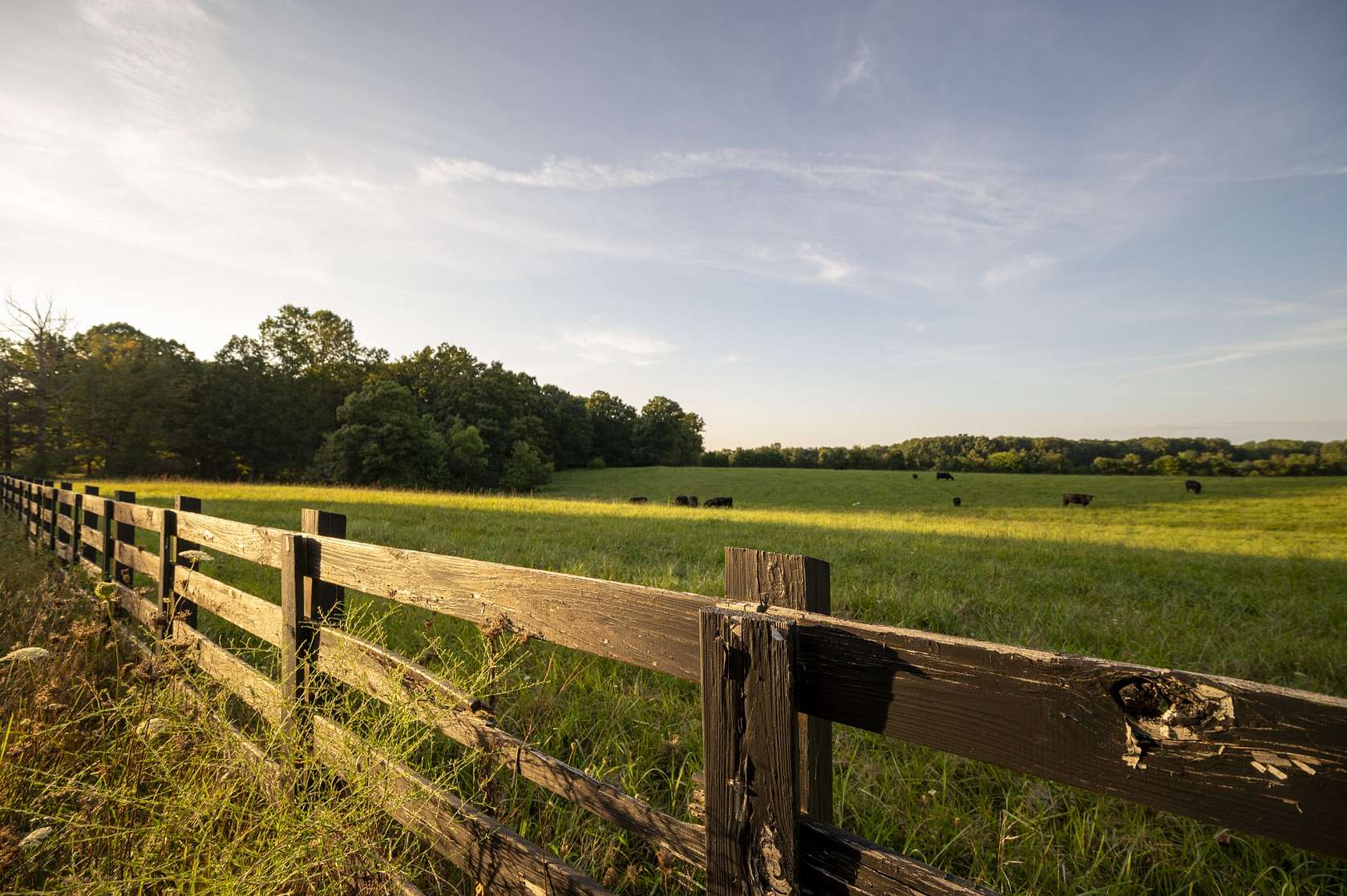 338 Acres of Land for Sale in Sewanee, Tennessee