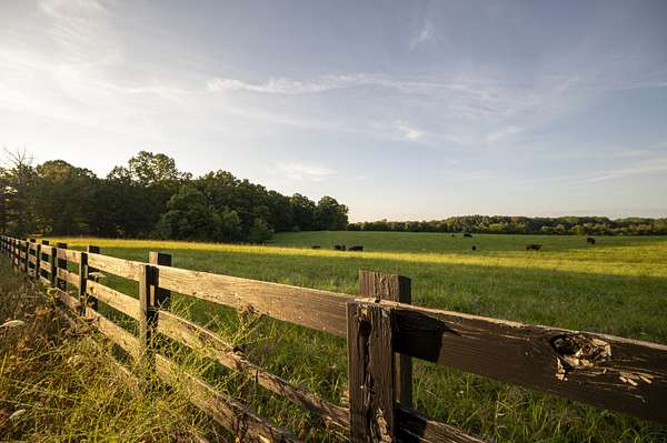 338 Acres of Land for Sale in Sewanee, Tennessee