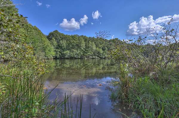 338 Acres of Land for Sale in Sewanee, Tennessee