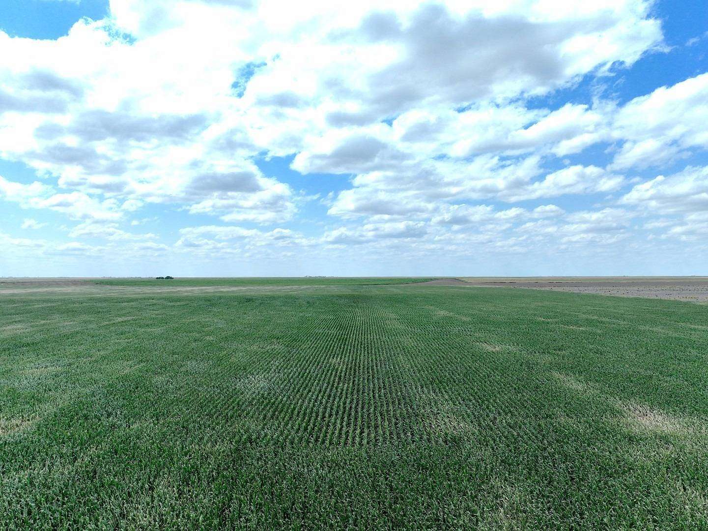 160 Acres of Land for Sale in Edson, Kansas