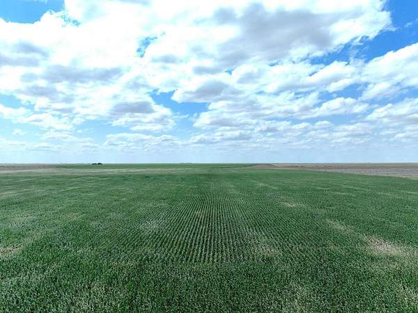 160 Acres of Land for Sale in Edson, Kansas