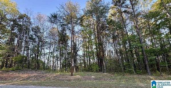 16 Acres of Land for Sale in Calera, Alabama