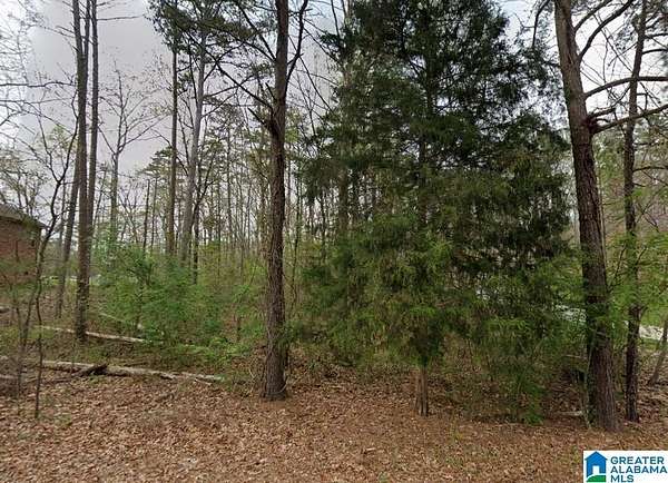 0.46 Acres of Residential Land for Sale in Pinson, Alabama