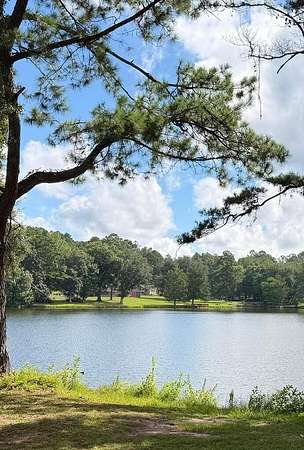 13.3 Acres of Land with Home for Sale in Cairo, Georgia