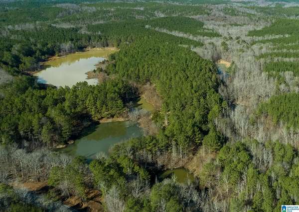 162 Acres of Land for Sale in Brilliant, Alabama