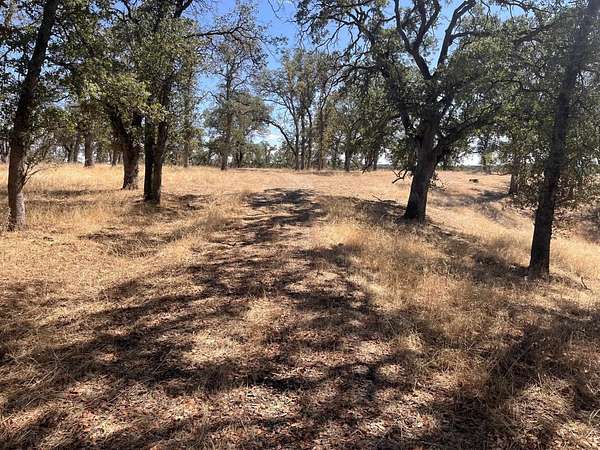 32 Acres of Land for Sale in Red Bluff, California