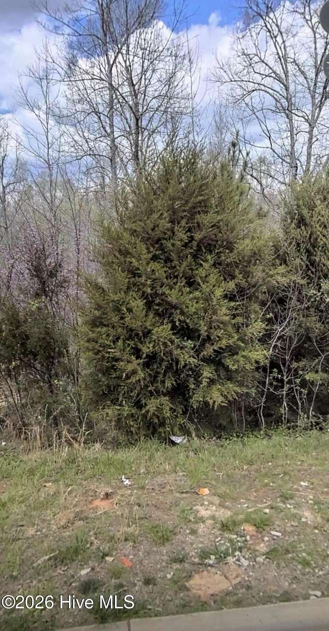 0.41 Acres of Residential Land for Sale in Pittsboro, North Carolina