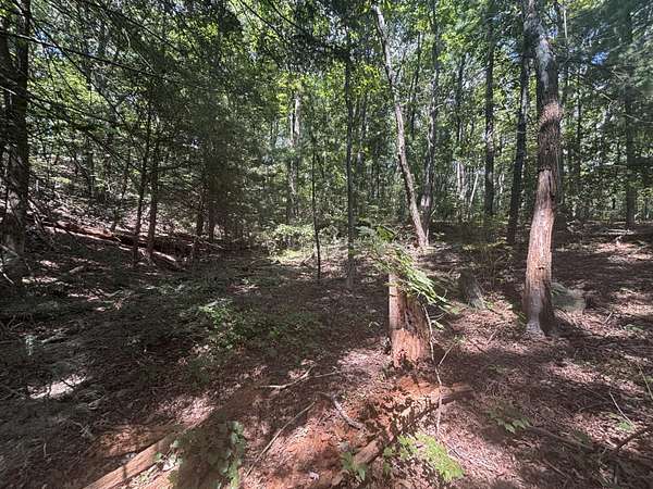 0.42 Acres of Land for Sale in Lookout Mountain, Georgia