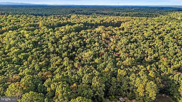 9.65 Acres of Land for Sale in Locust Grove, Virginia