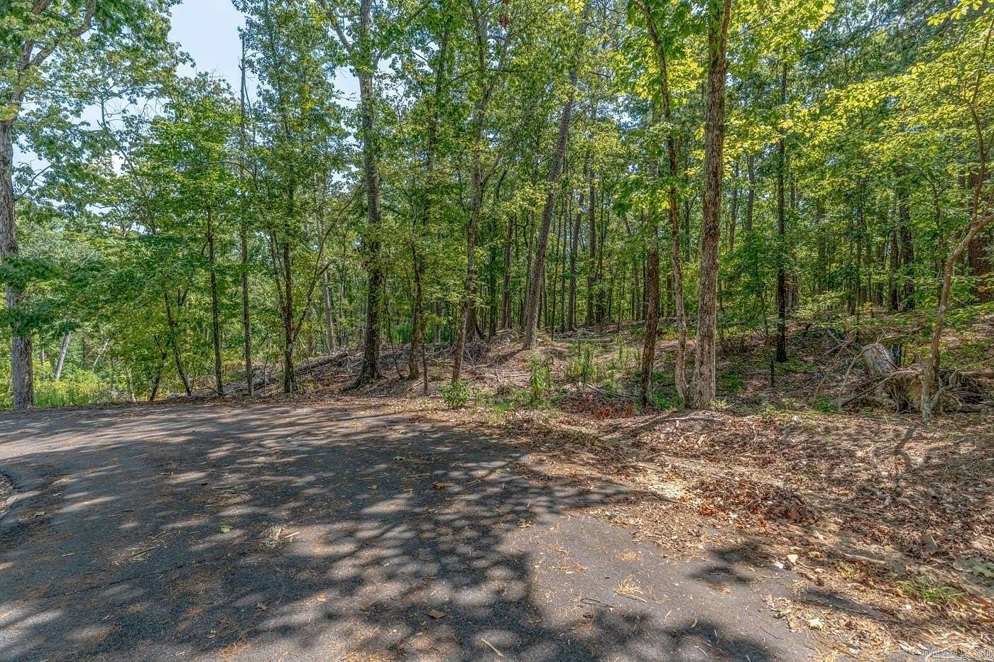 0.24 Acres of Residential Land for Sale in Hot Springs Village, Arkansas