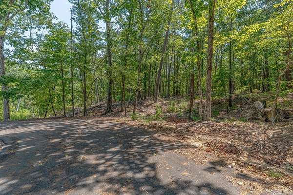 0.24 Acres of Residential Land for Sale in Hot Springs Village, Arkansas