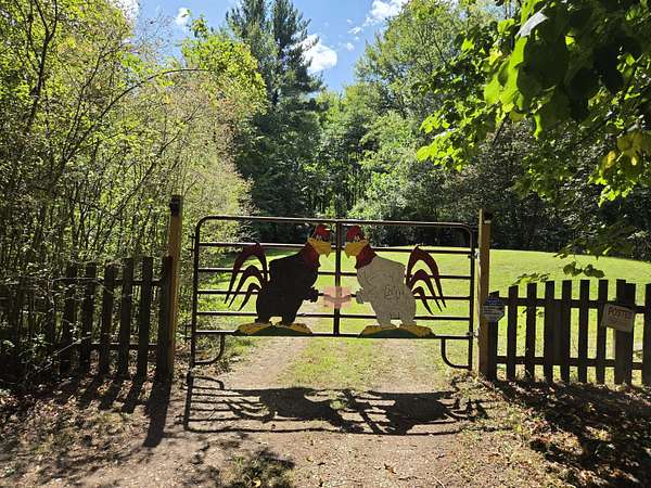 8.8 Acres of Residential Land for Sale in Allegan, Michigan