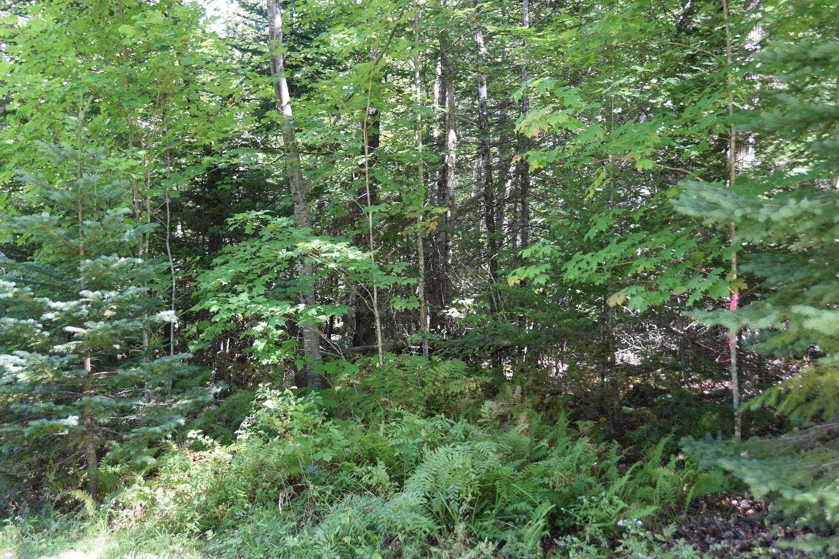 2 Acres of Residential Land for Sale in Athens, Maine