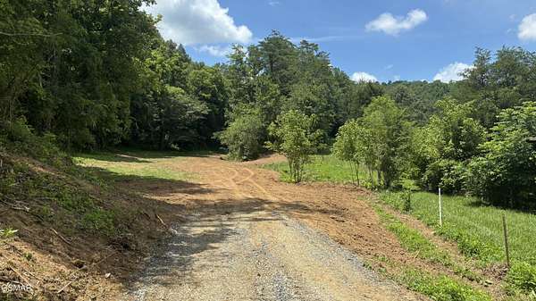 43.8 Acres of Recreational & Residential Land for Sale in Cosby, Tennessee
