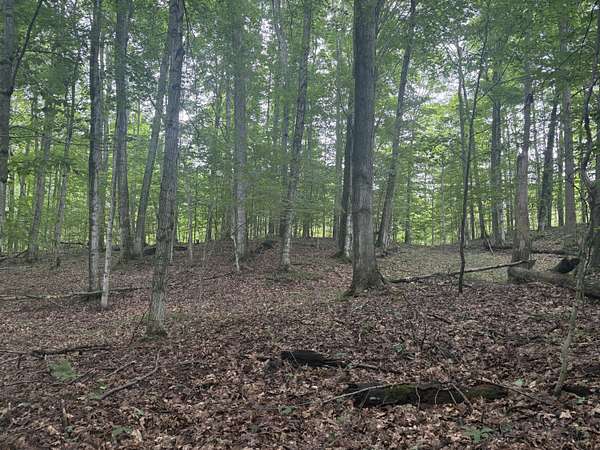5.1 Acres of Land for Sale in Arcadia, Michigan