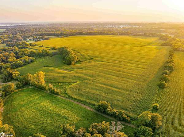 86.6 Acres of Agricultural Land for Sale in Webster City, Iowa