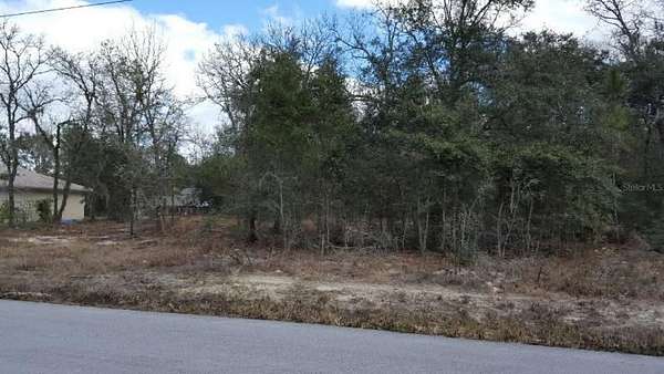 0.22 Acres of Residential Land for Sale in Summerfield, Florida