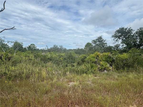 0.23 Acres of Residential Land for Sale in Avon Park, Florida