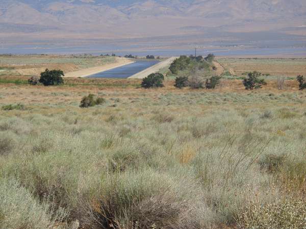 30.6 Acres of Agricultural Land for Sale in Del Sur, California