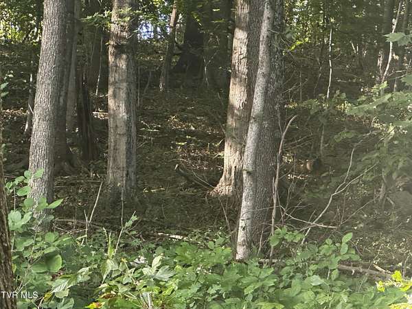 0.63 Acres of Residential Land for Sale in Weber City, Virginia