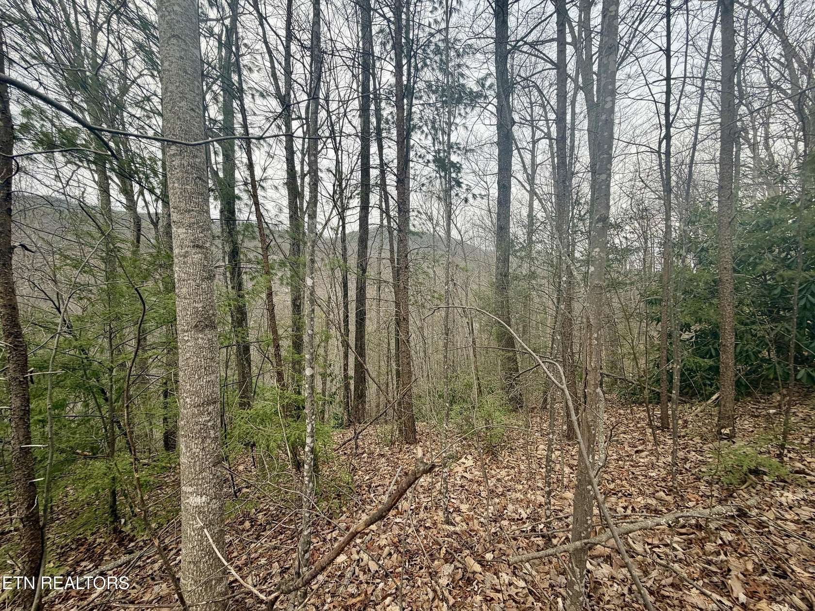 1.28 Acres of Residential Land for Sale in Gatlinburg, Tennessee