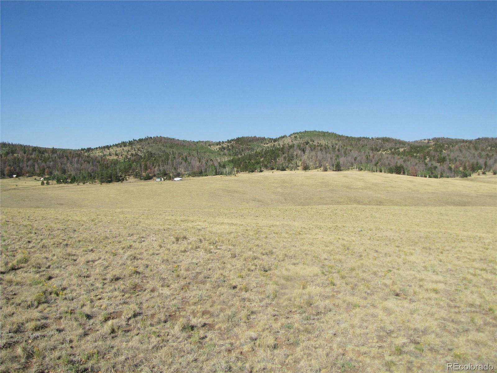 5 Acres of Land for Sale in Hartsel, Colorado