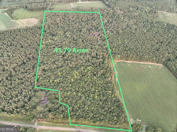 43.8 Acres of Recreational & Residential Land for Sale in Oglethorpe, Georgia
