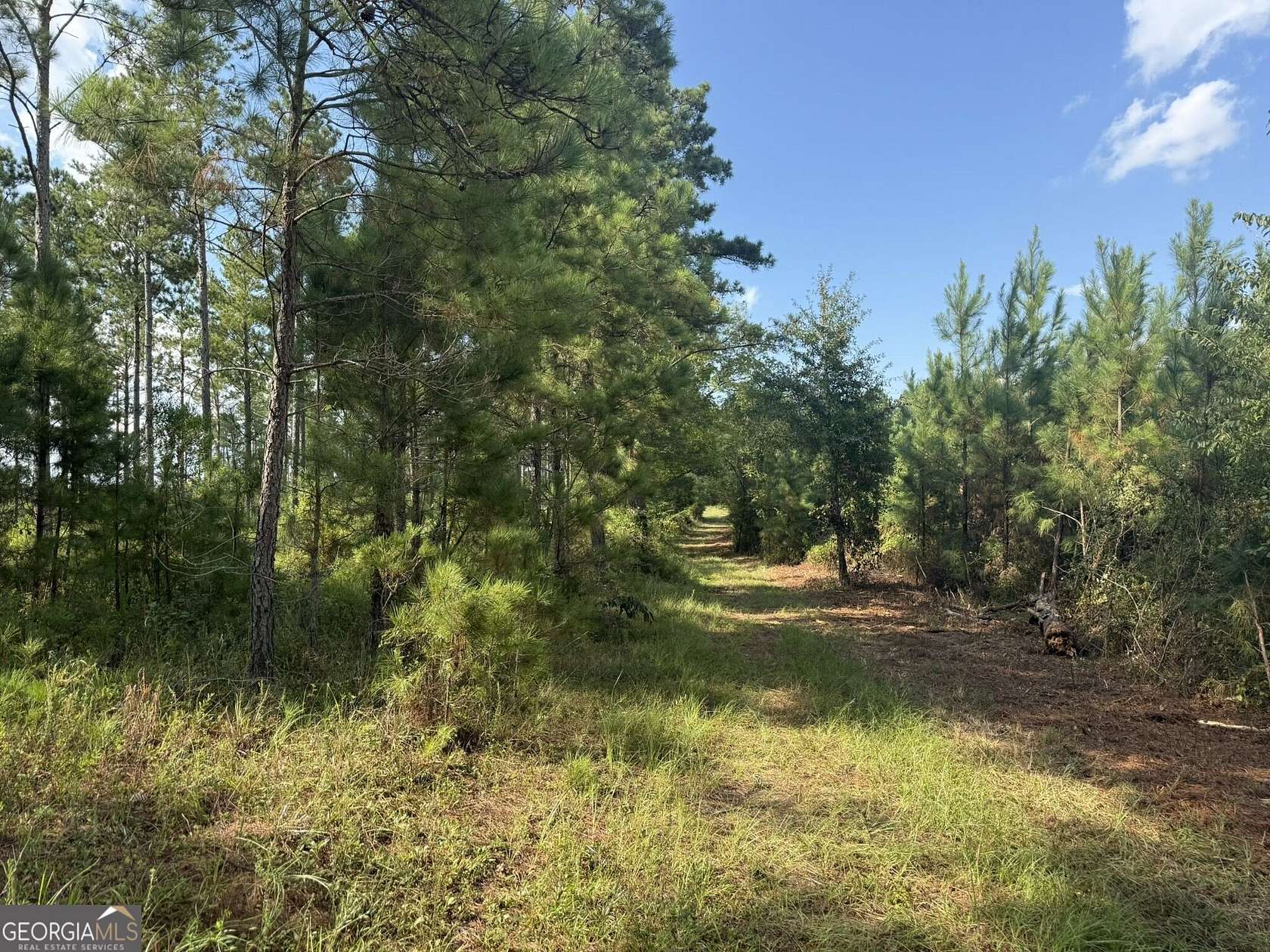 13 Acres of Recreational & Residential Land for Sale in Cuthbert, Georgia