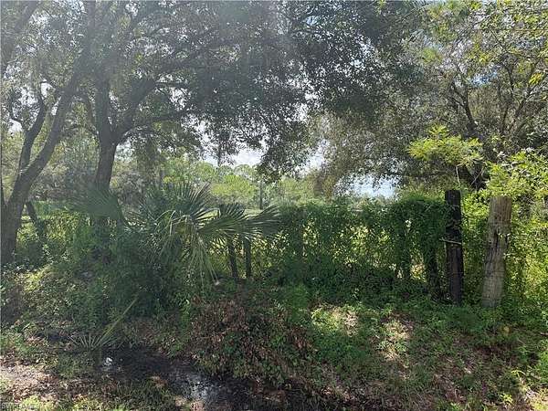 1.25 Acres of Land for Sale in Clewiston, Florida