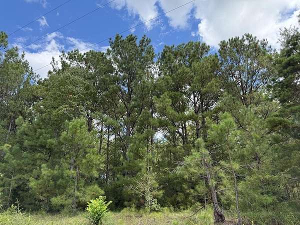 47 Acres of Recreational & Residential Land for Sale in Red Level, Alabama