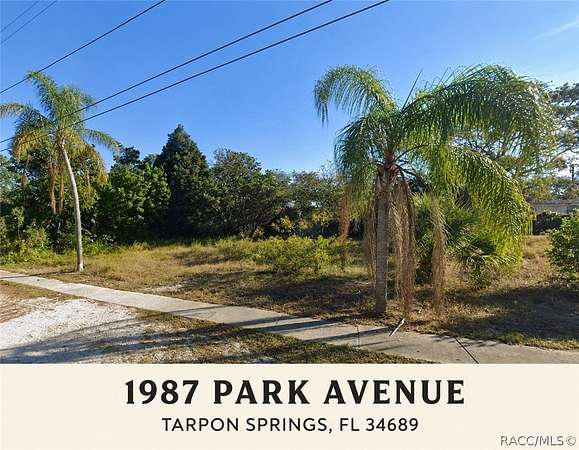 0.31 Acres of Residential Land for Sale in Tarpon Springs, Florida