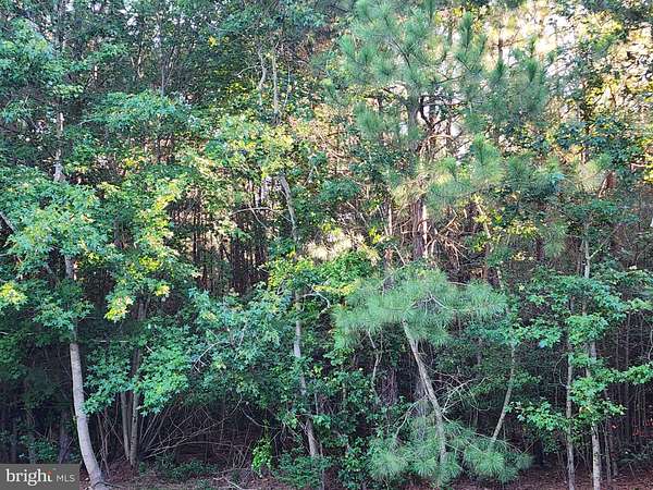 1.82 Acres of Residential Land for Sale in Dameron, Maryland