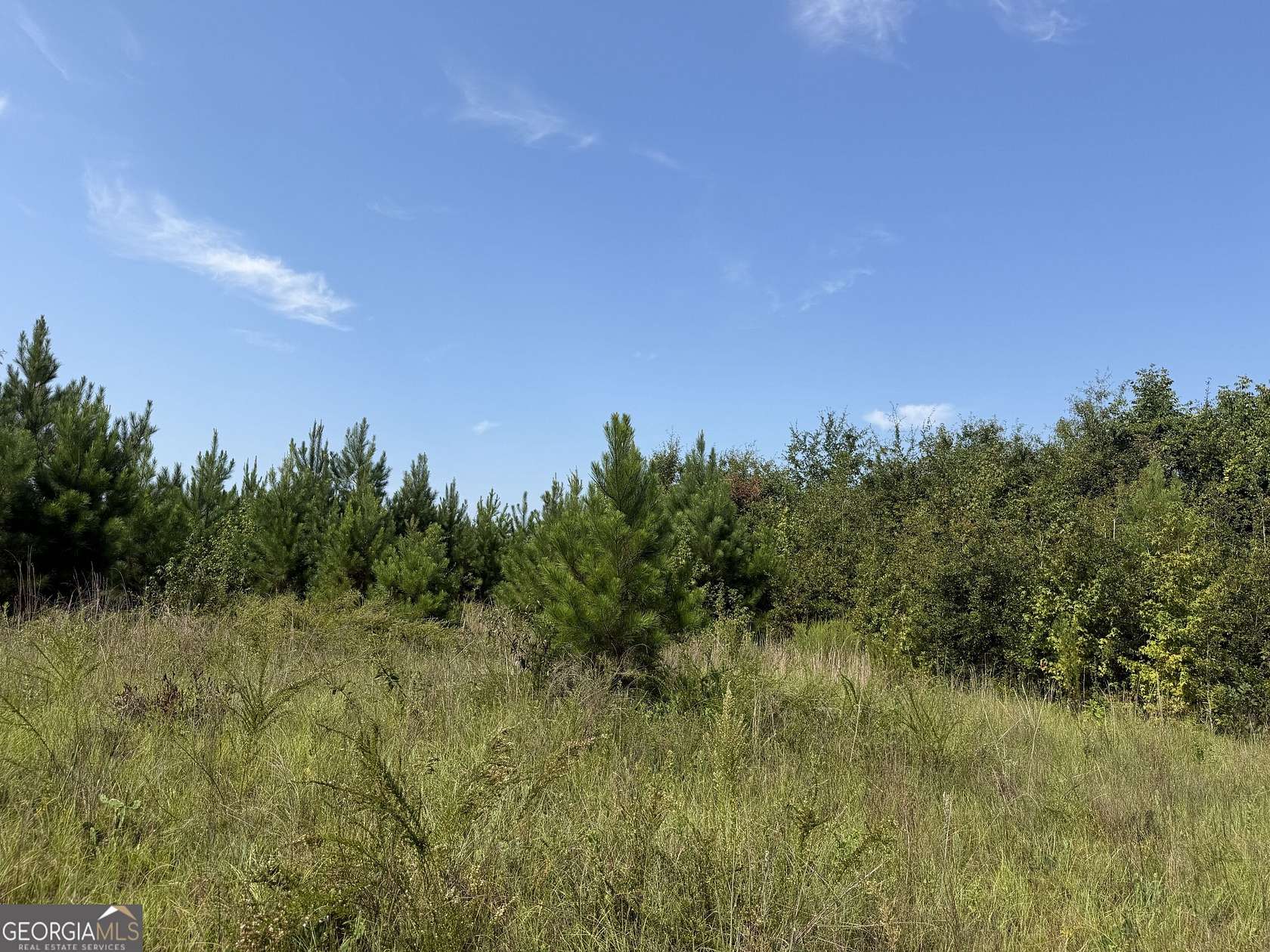 16.4 Acres of Land for Sale in Toomsboro, Georgia