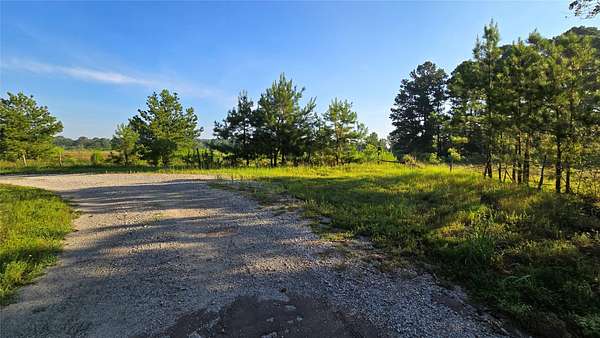 75.8 Acres of Recreational Land for Sale in De Berry, Texas