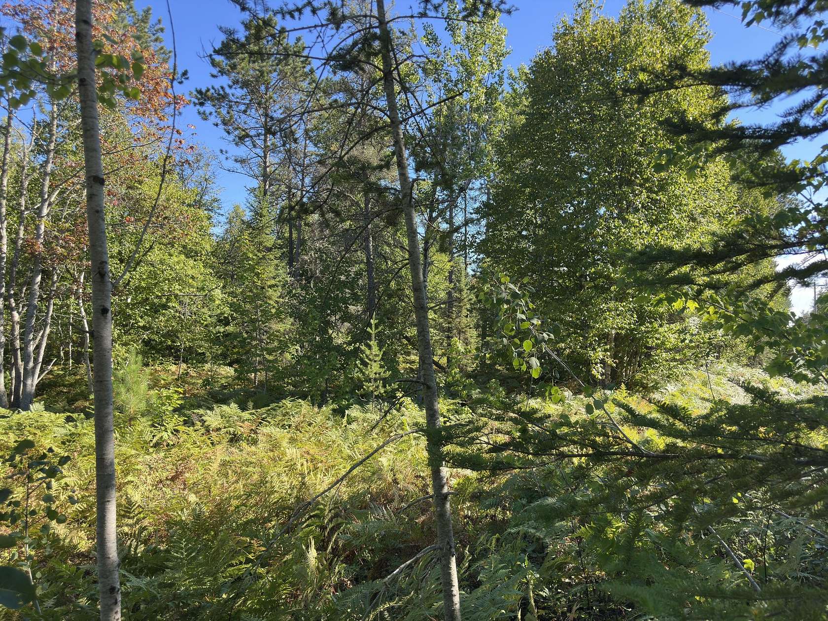 0.84 Acres of Residential Land for Sale in Paradise, Michigan