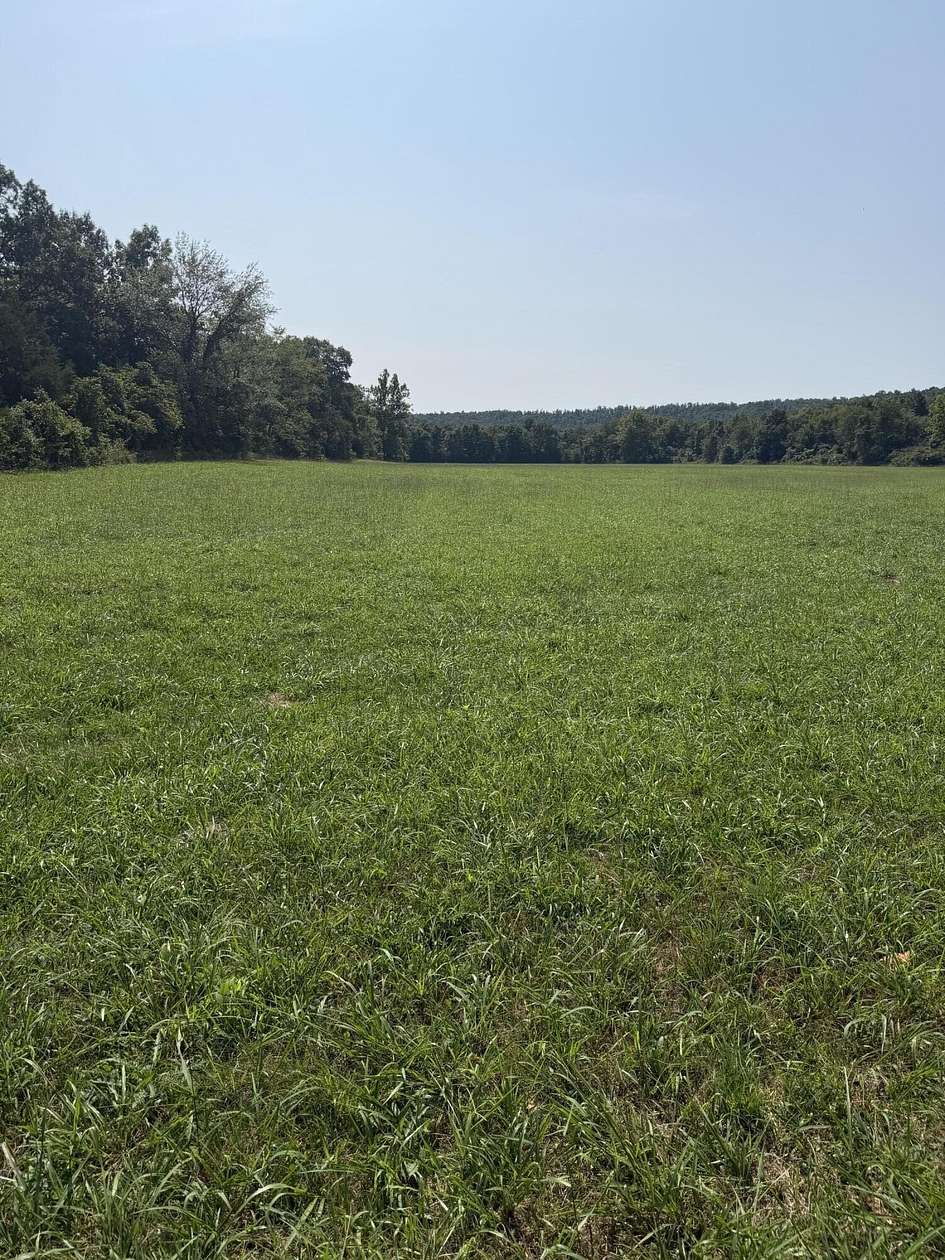 200 Acres of Land for Sale in Redford, Missouri