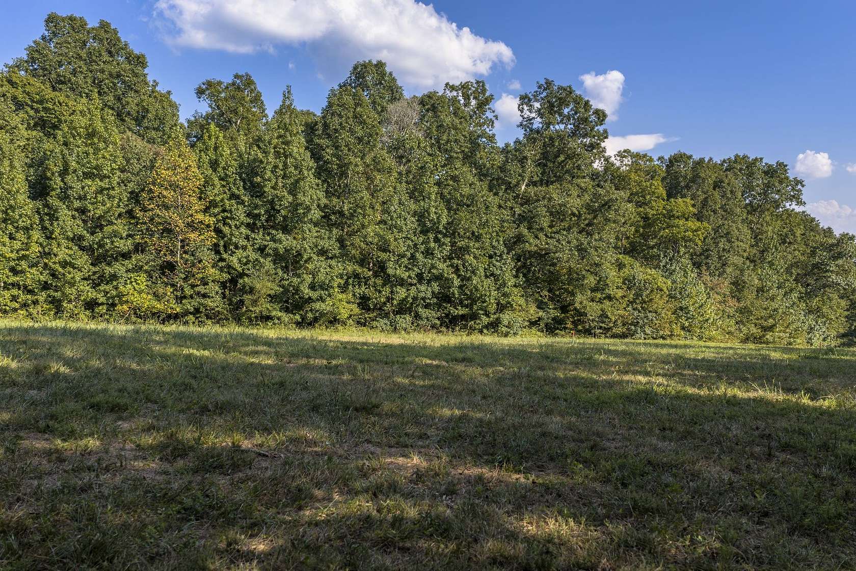 4.43 Acres of Residential Land for Sale in Charlotte, Tennessee