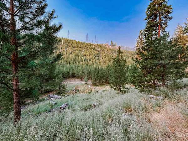 0.74 Acres of Residential Land for Sale in Atlanta, Idaho