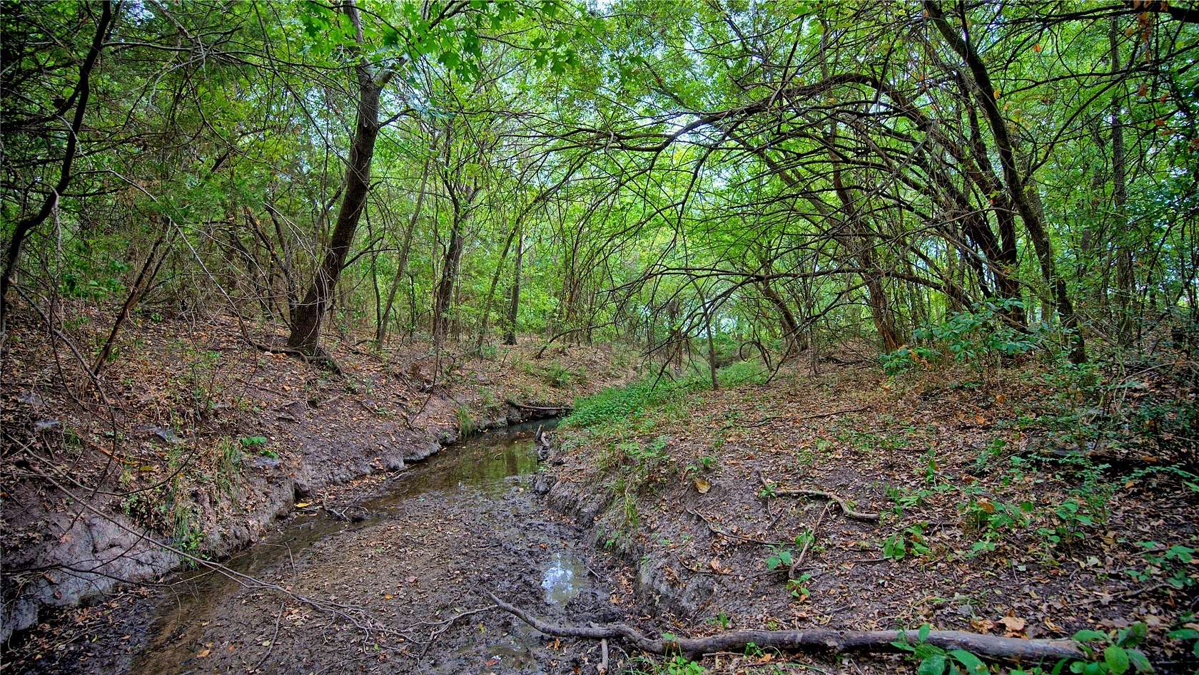 64.5 Acres of Land for Sale in St. Jo, Texas