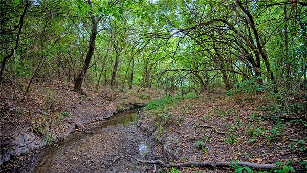 64.5 Acres of Land for Sale in St. Jo, Texas
