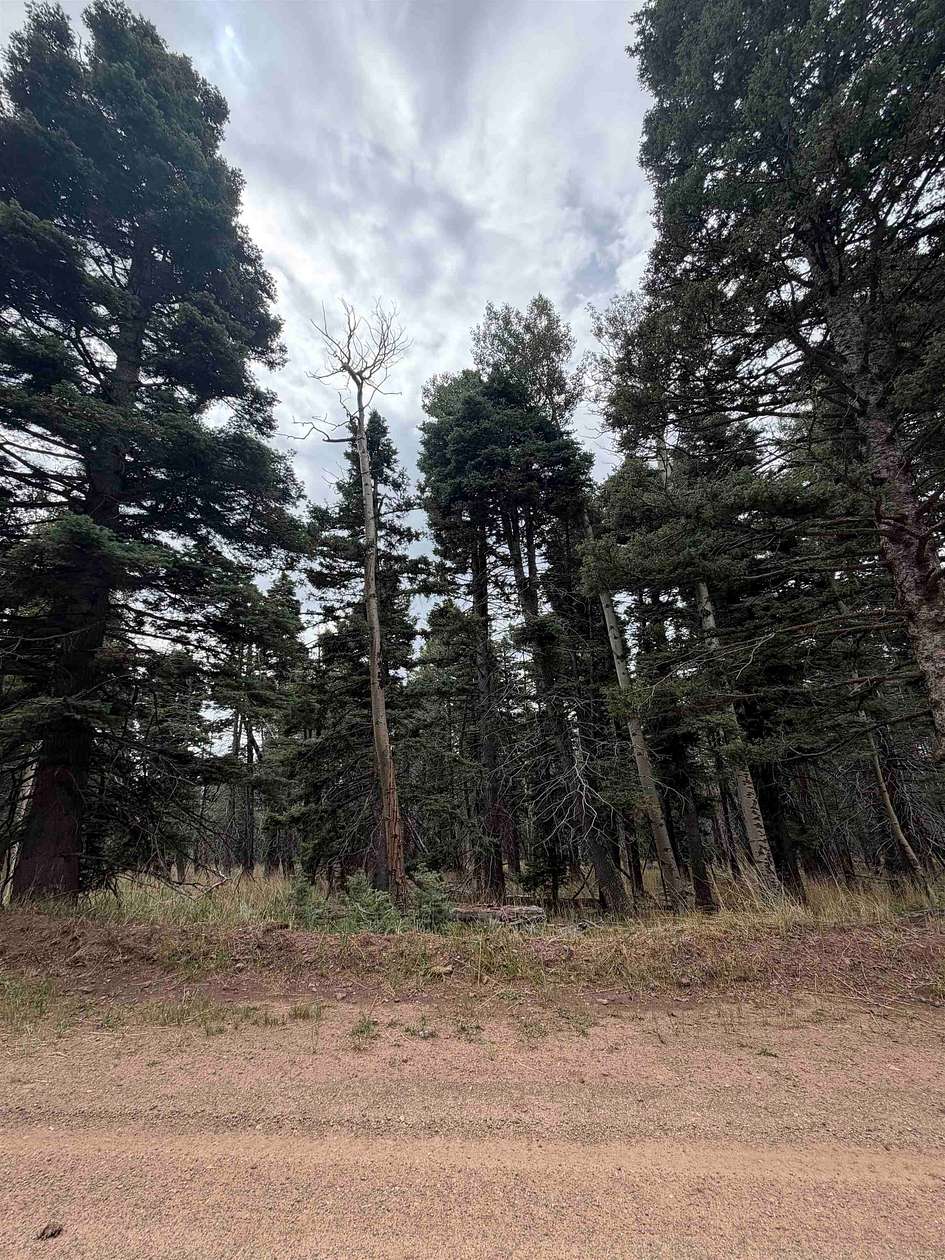 0.86 Acres of Residential Land for Sale in Angel Fire, New Mexico