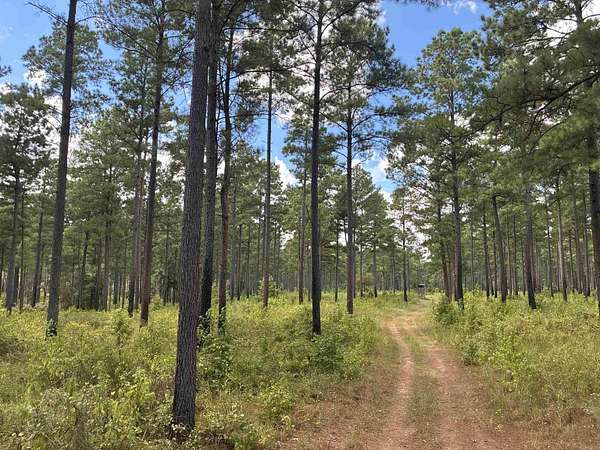 580 Acres of Recreational Land for Auction in Emerson, Arkansas