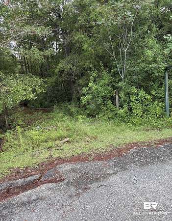 2.63 Acres of Residential Land for Sale in Seminole, Alabama