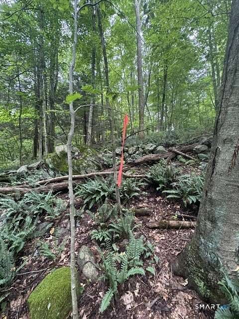 6.9 Acres of Residential Land for Sale in Storrs, Connecticut