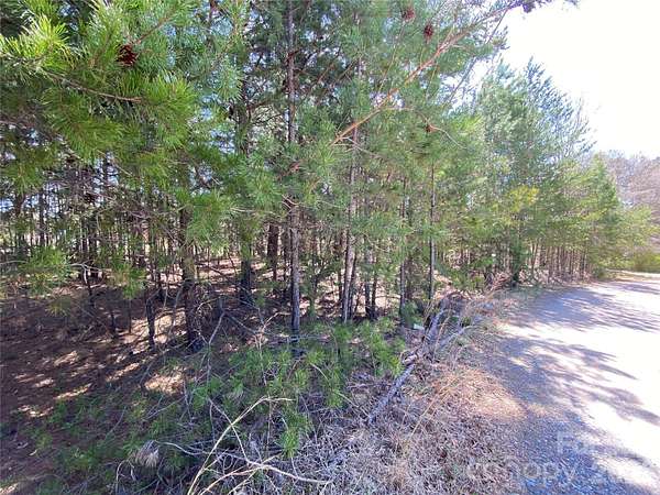 0.29 Acres of Residential Land for Sale in Lincolnton, North Carolina