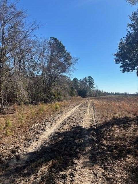 53.3 Acres of Recreational & Residential Land for Sale in Lyons, Georgia