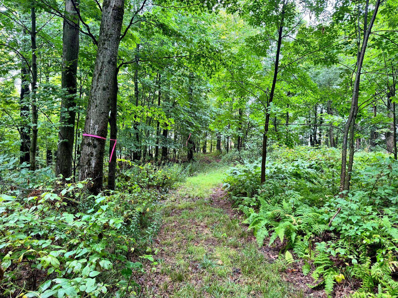 7 Acres of Residential Land for Sale in Richford, New York