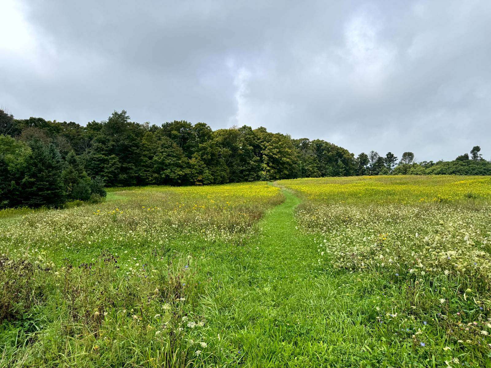 7 Acres of Residential Land for Sale in Richford, New York